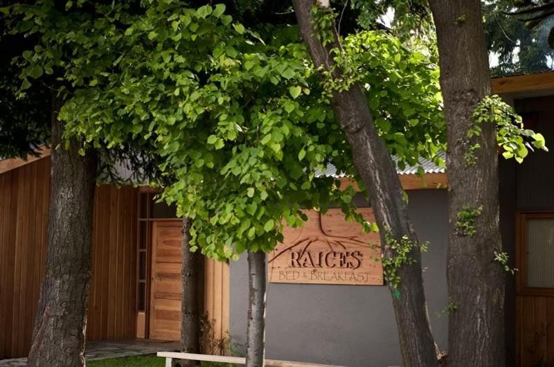 Raices Bed And Breakfast Coyhaique Exterior foto
